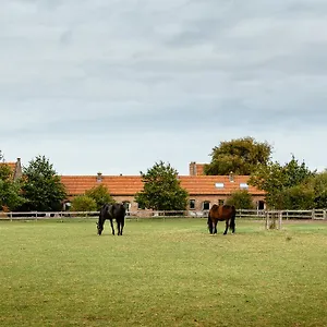 Het Zwaluwnest Holiday home